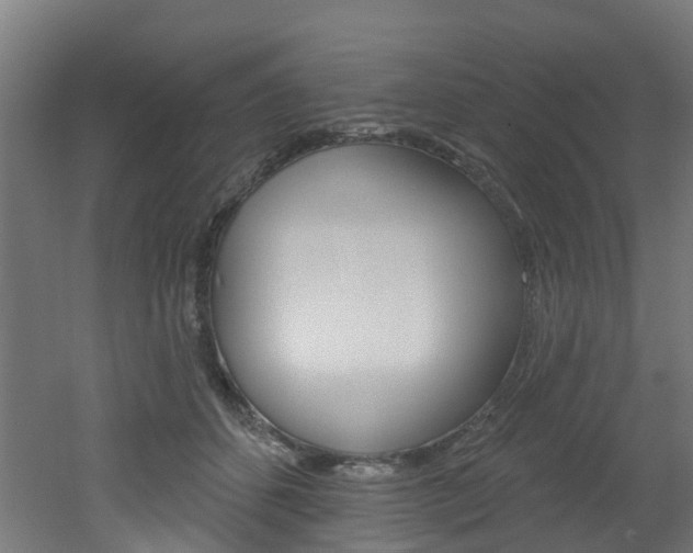 X0000051920512200506241133