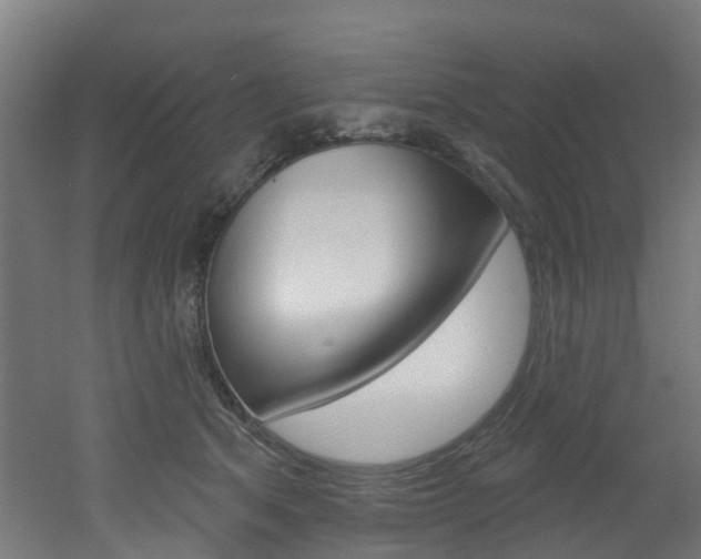X0000051920513200506241133