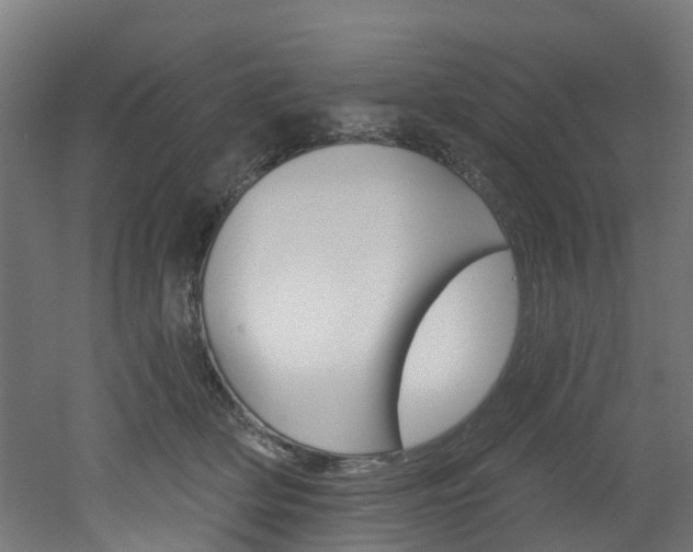 X0000051920514200506241133