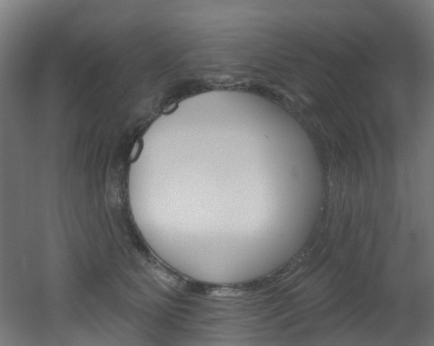 X0000051920515200506241133