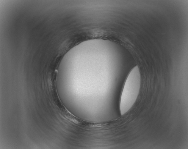 X0000051920516200506241133