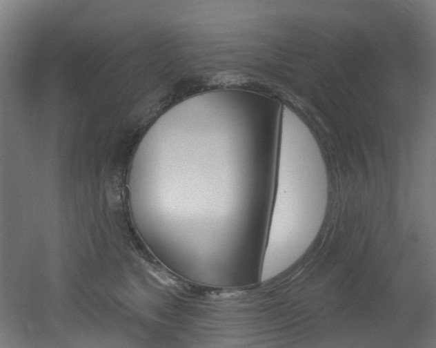 X0000051920517200506241133
