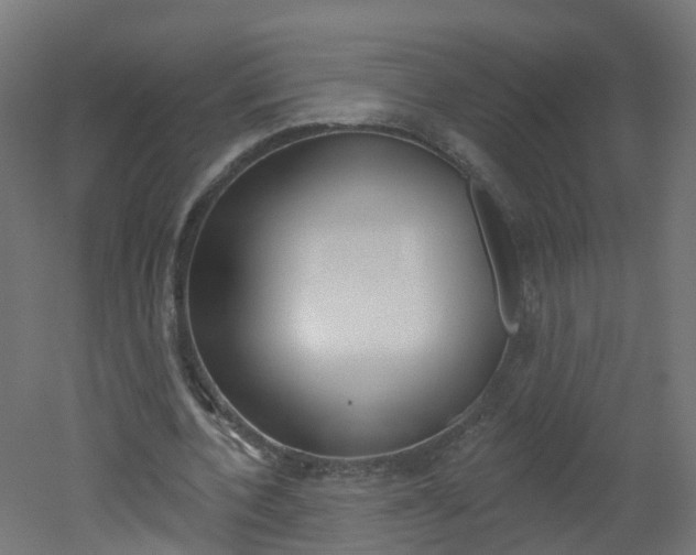X0000051920532200506241132