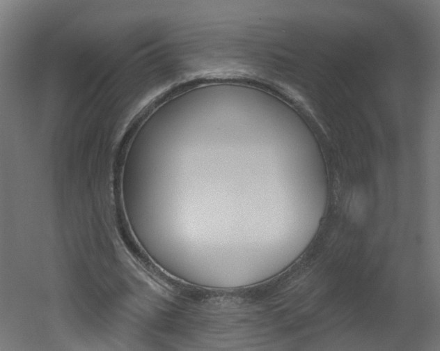 X0000051920535200506241132