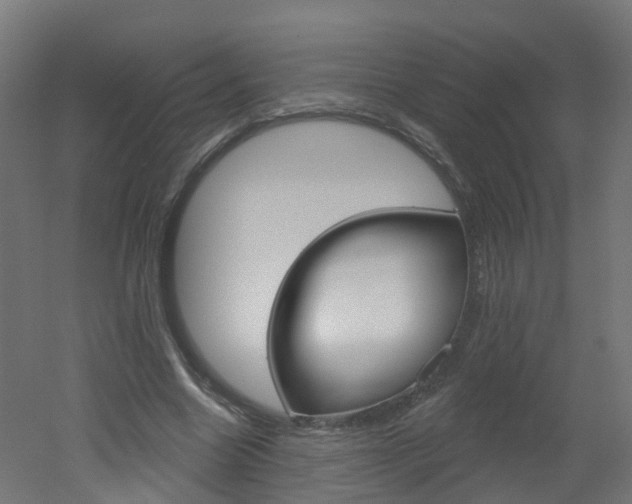 X0000051920538200506241132