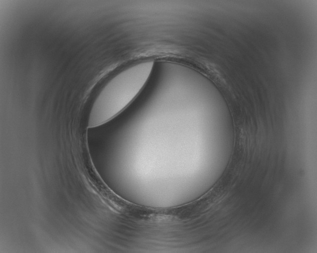X0000051920539200506241132