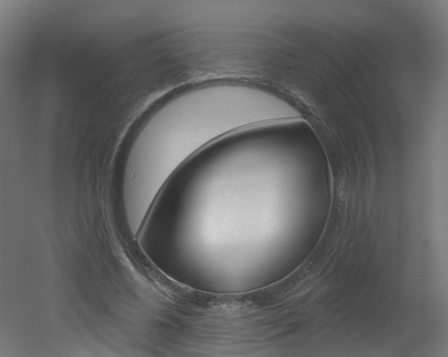 X0000051920540200506241132