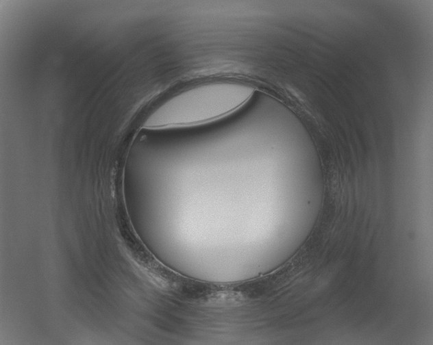 X0000051920543200506241132