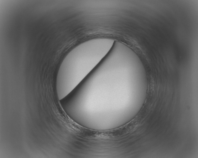 X0000051920545200506241132