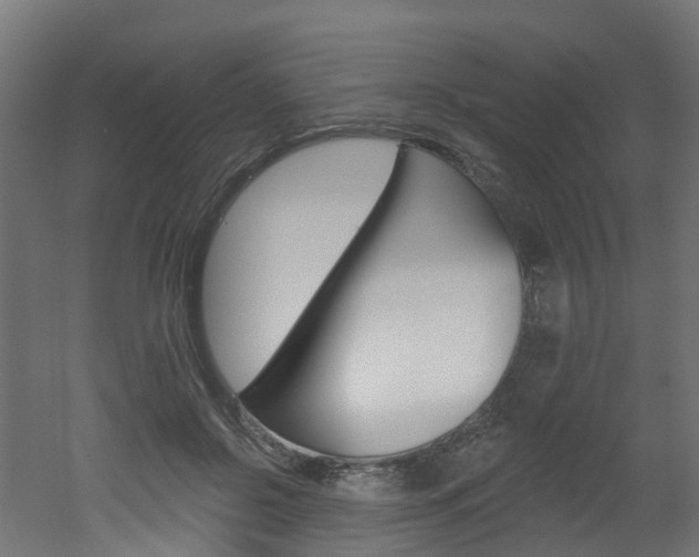 X0000051920550200506241132