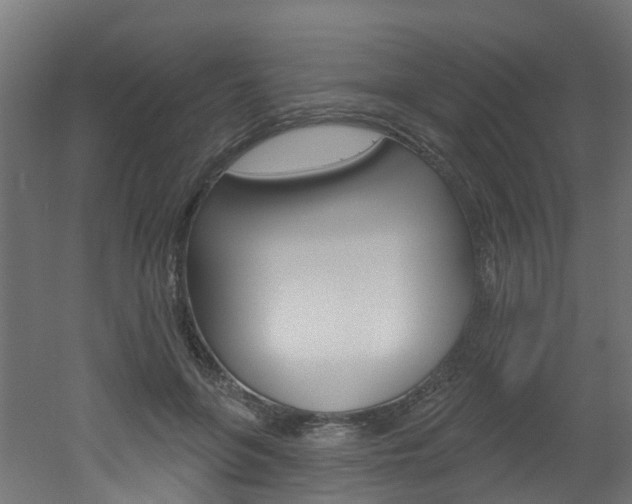 X0000051920551200506241132
