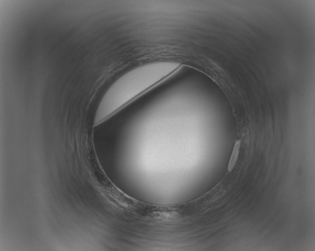X0000051920552200506241132