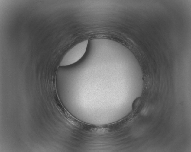 X0000051920553200506241132