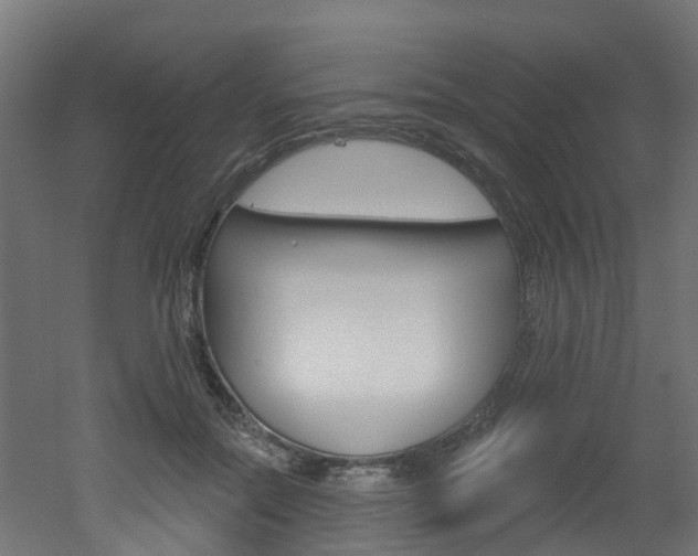 X0000051920554200506241132