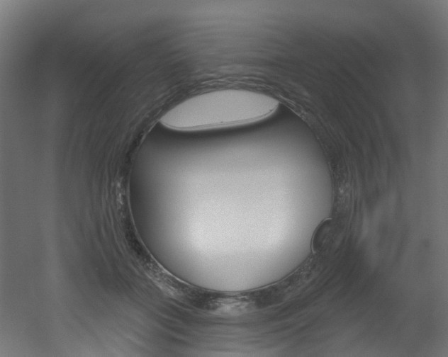 X0000051920555200506241132