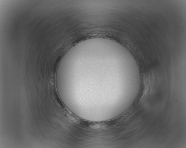X0000051920561200506241132