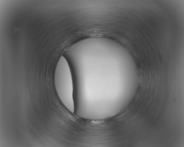 X0000051920573200506241132