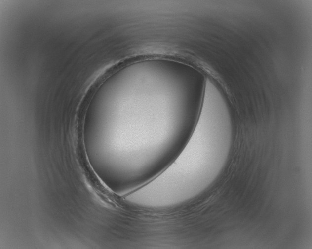 X0000051920580200506241132