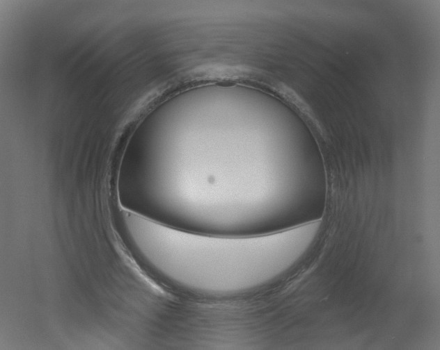 X0000051920581200506241131