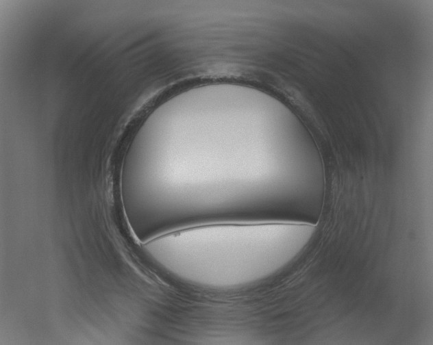 X0000051920584200506241131