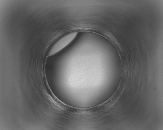 X0000051920585200506241131