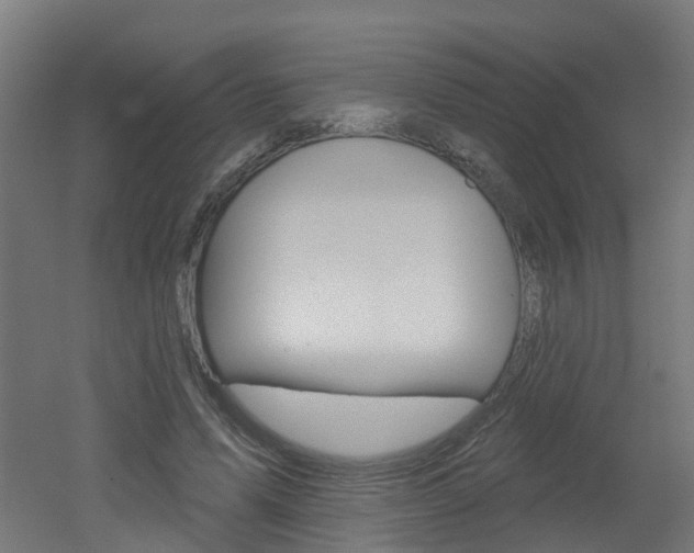 X0000051920591200506241131