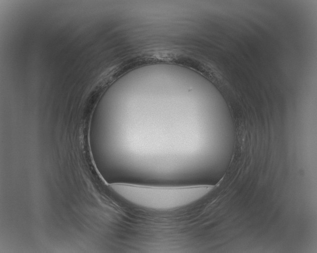 X0000051920595200506241131