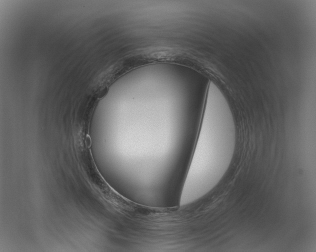 X0000051920597200506241131