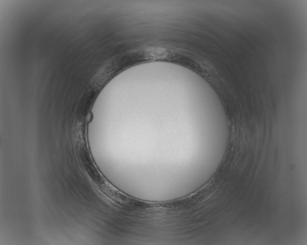 X0000051920598200506241131