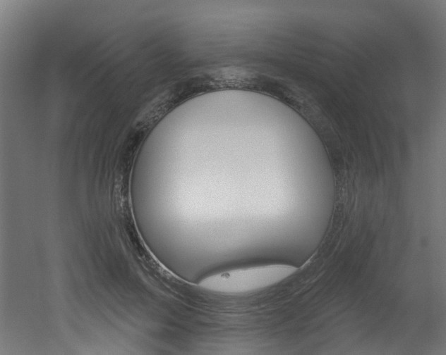 X0000051920599200506241131