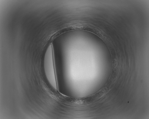 X0000051920600200506241131