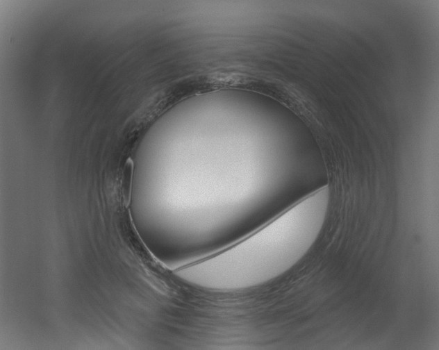 X0000051920601200506241131