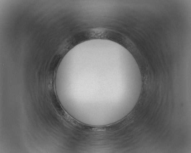 X0000051920602200506241131