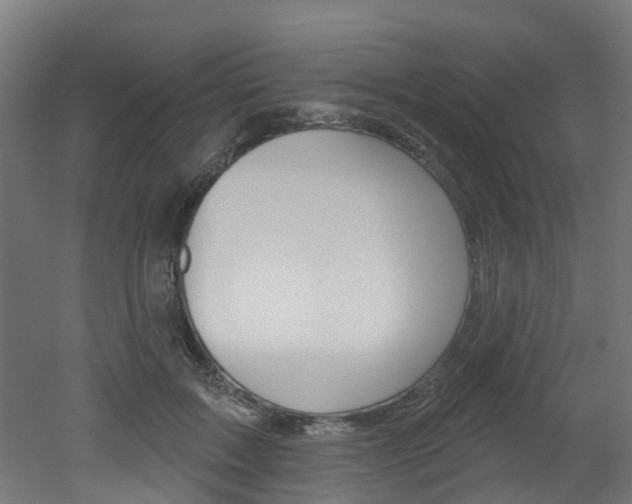 X0000051920603200506241131