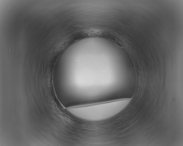 X0000051920604200506241131