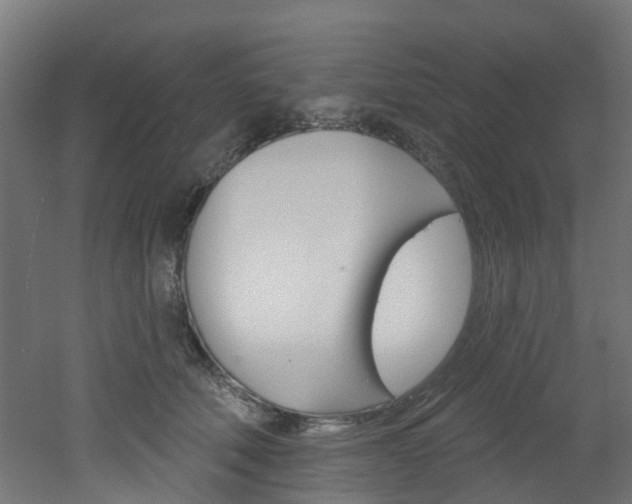 X0000051920610200506241131