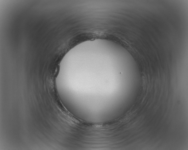 X0000051920613200506241131