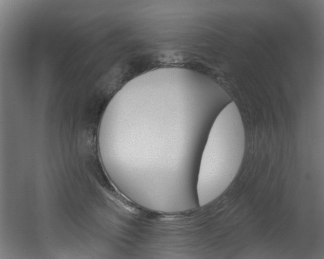 X0000051920614200506241131