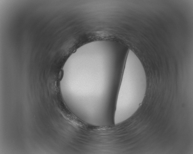 X0000051920615200506241131