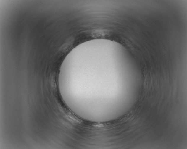X0000051920616200506241131