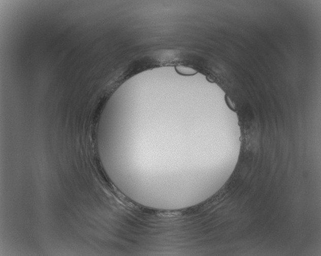 X0000051920618200506241131