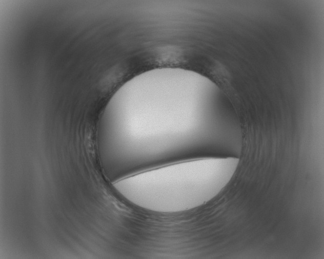 X0000051920619200506241131