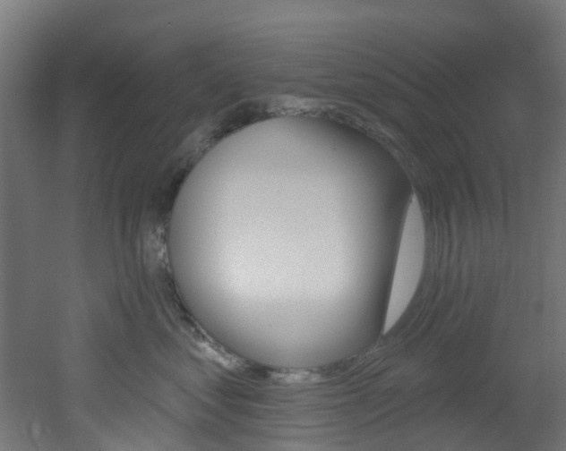 X0000051920621200506241131
