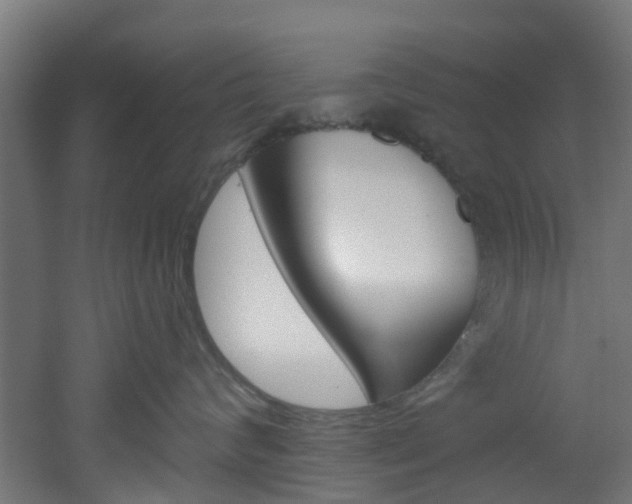 X0000051920624200506241131