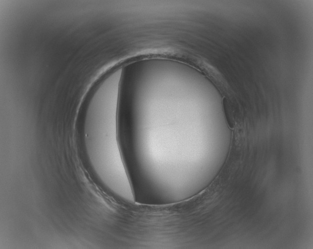 X0000051920628200506241130