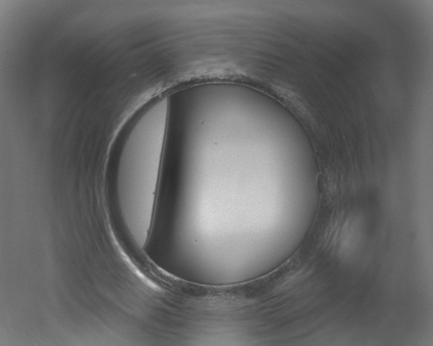 X0000051920630200506241130