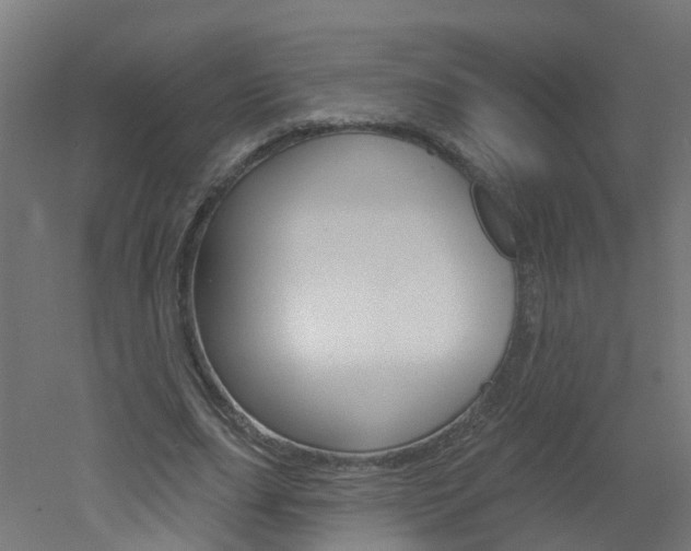 X0000051920631200506241130