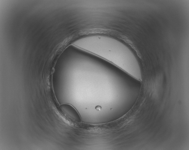 X0000051920633200506241130