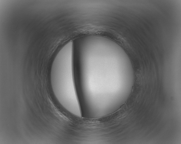 X0000051920642200506241130