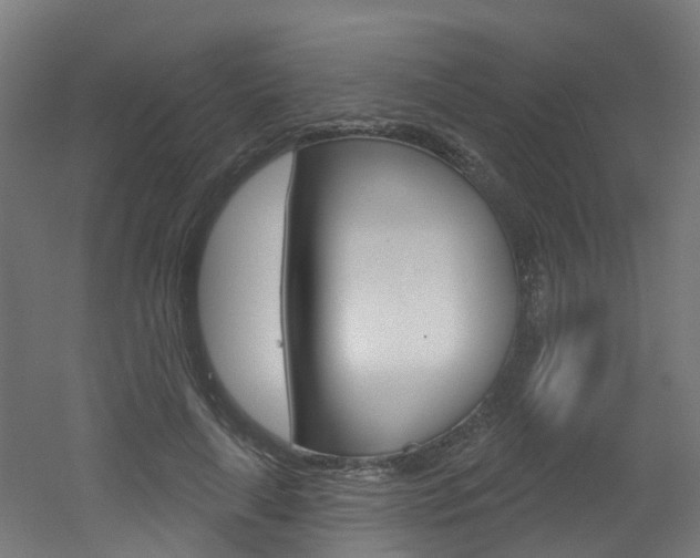 X0000051920643200506241130